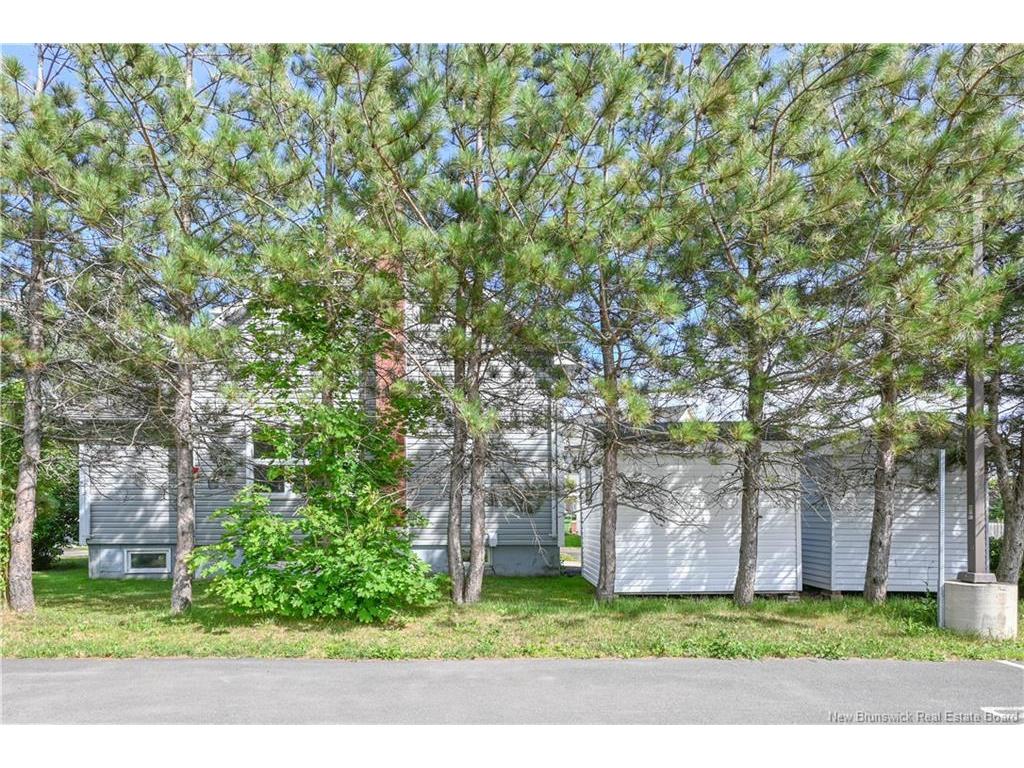 









225


de l'Eglise

AVE,
Shippagan,




NB
E8S 2K4

