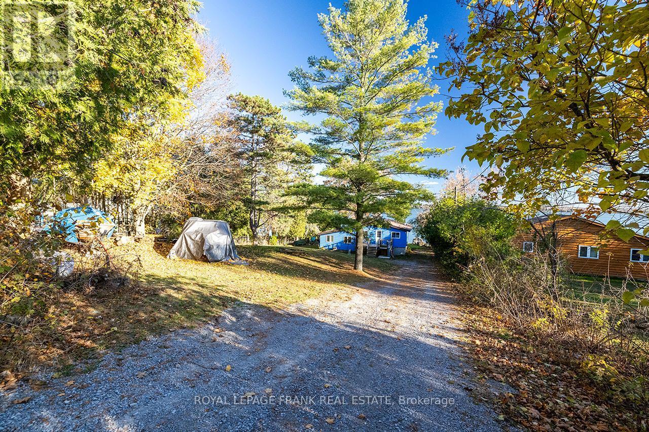 












121 BALL POINT ROAD

,
Kawartha Lakes (Little Britain),




Ontario
K0M2C0

