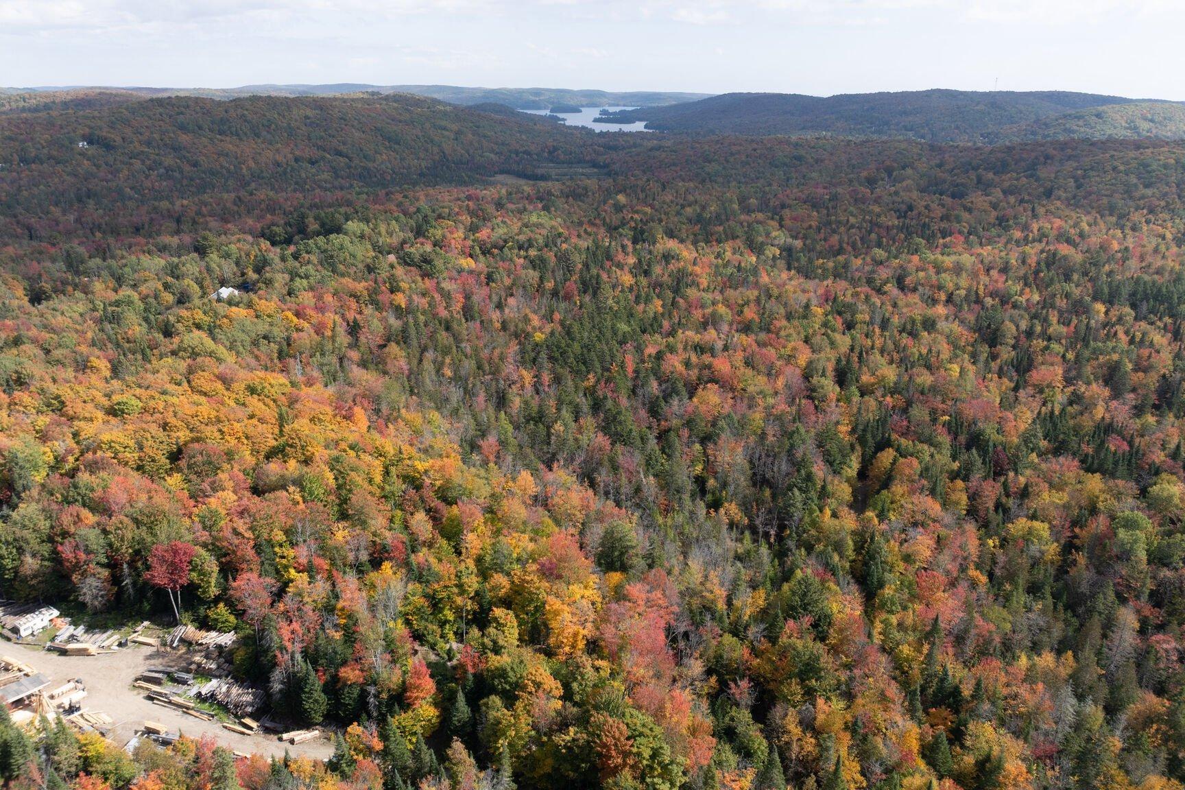 












465e Avenue

,
Saint-Hippolyte,







QC
J8A3E5

