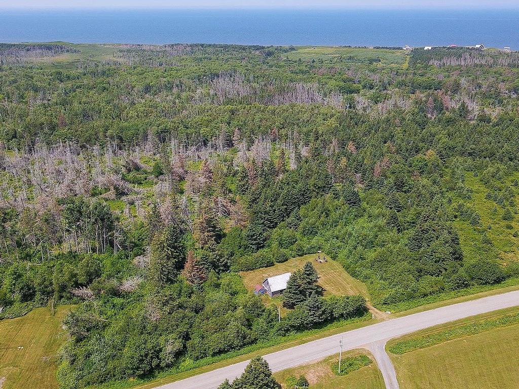 












1166 Route 336

,
Cable Head West,







PE
C0A 2A0


