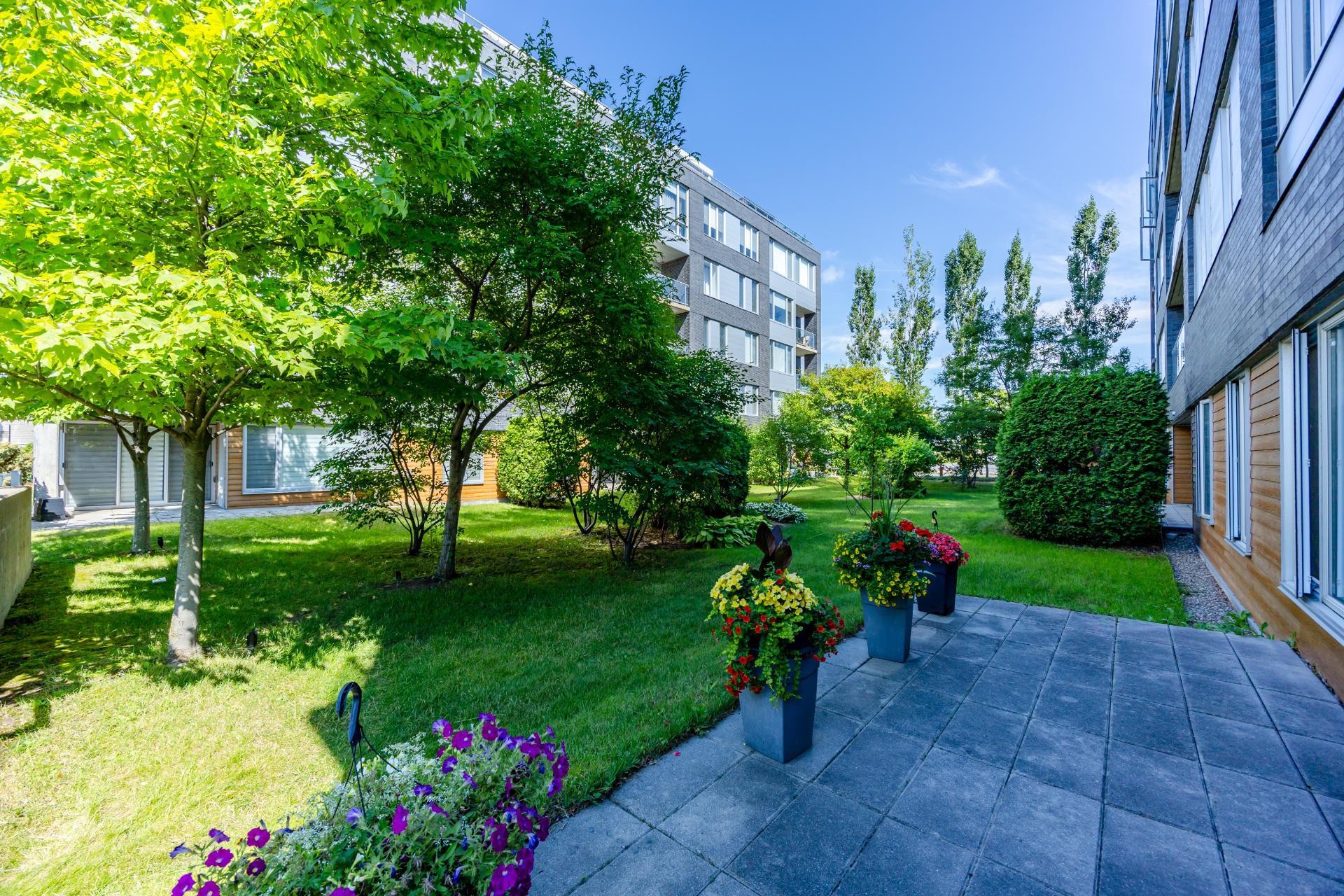 









9815


Boul. Leduc

, 105,
Brossard,




QC
J4Y0K8

