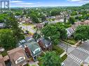 Treed Neighbourhood!