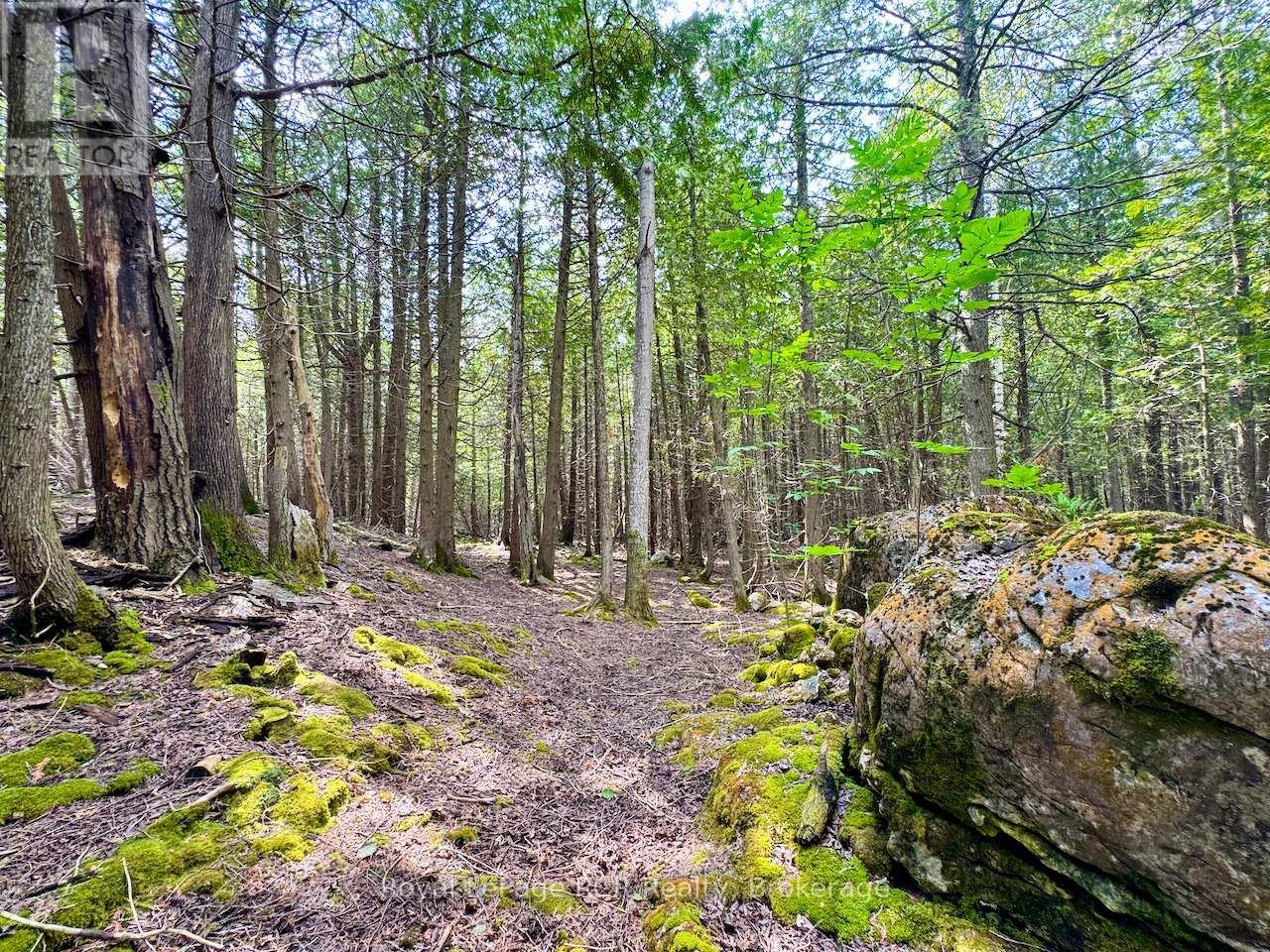 












323 EAST ROAD RR 4 ROAD

,
Northern Bruce Peninsula,




Ontario
N0H1W0


