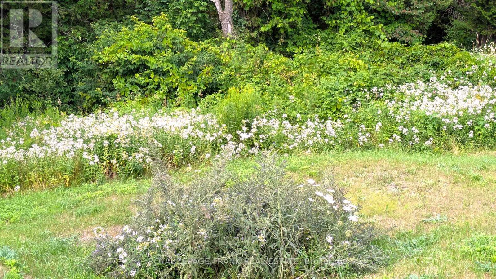 












2171 ST. OLA ROAD

,
Tudor and Cashel (Cashel Ward),




Ontario
K0L1W0

