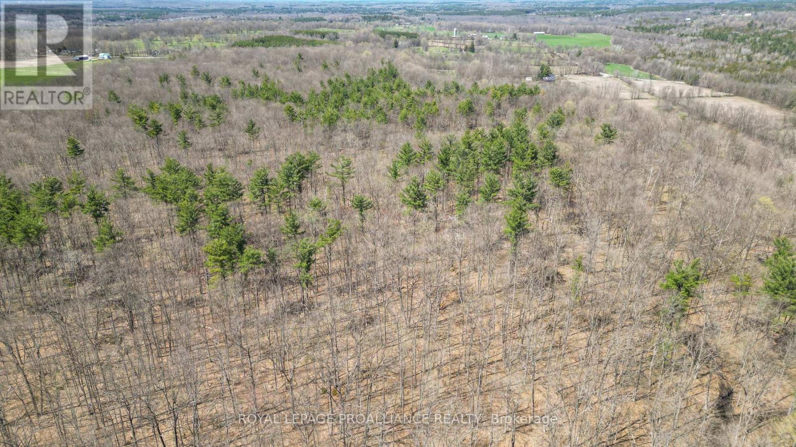 












39 PALMATEER ROAD

,
Tweed (Hungerford (Twp)),




Ontario
K0K3J0

