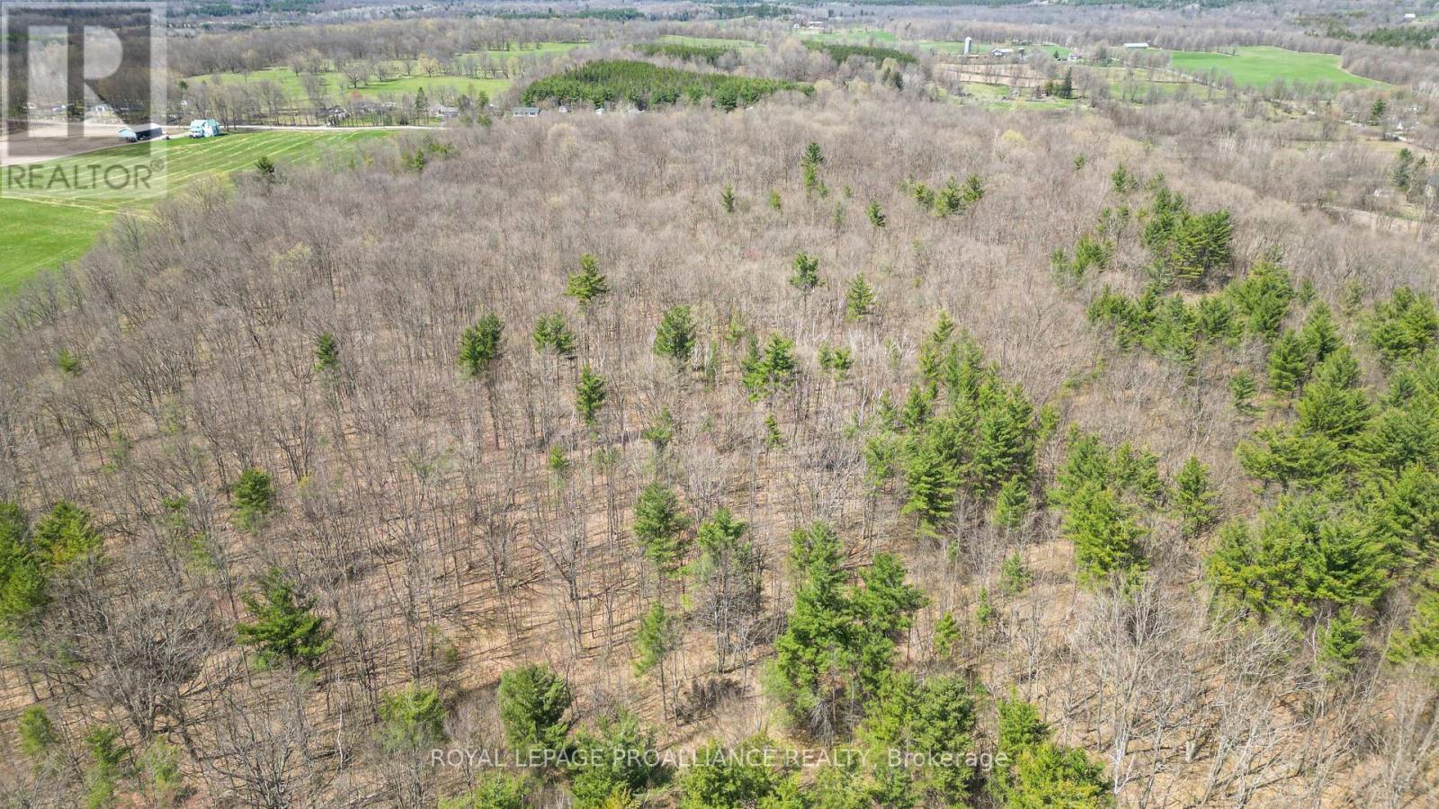












39 PALMATEER ROAD

,
Tweed (Hungerford (Twp)),




Ontario
K0K3J0

