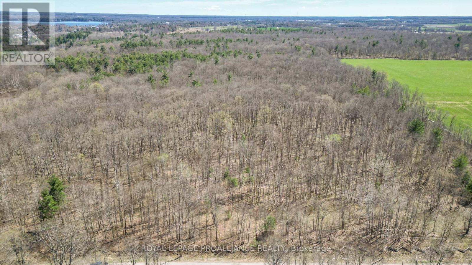 












39 PALMATEER ROAD

,
Tweed (Hungerford (Twp)),




Ontario
K0K3J0

