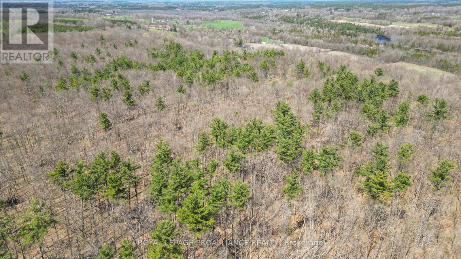 












39 PALMATEER ROAD

,
Tweed (Hungerford (Twp)),




Ontario
K0K3J0

