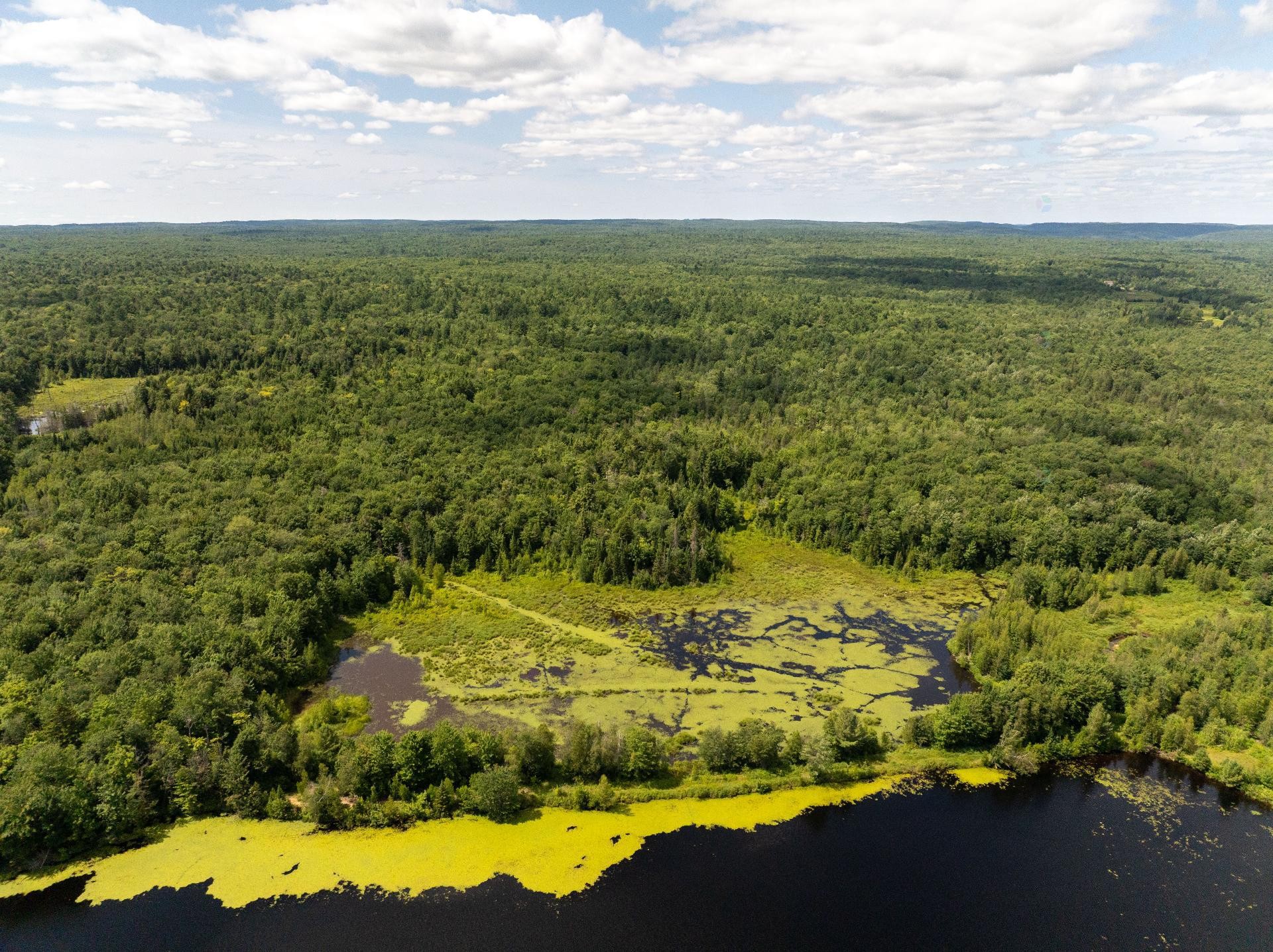 












Rue Aramis

,
Saint-Colomban,







QC
J5K2K9

