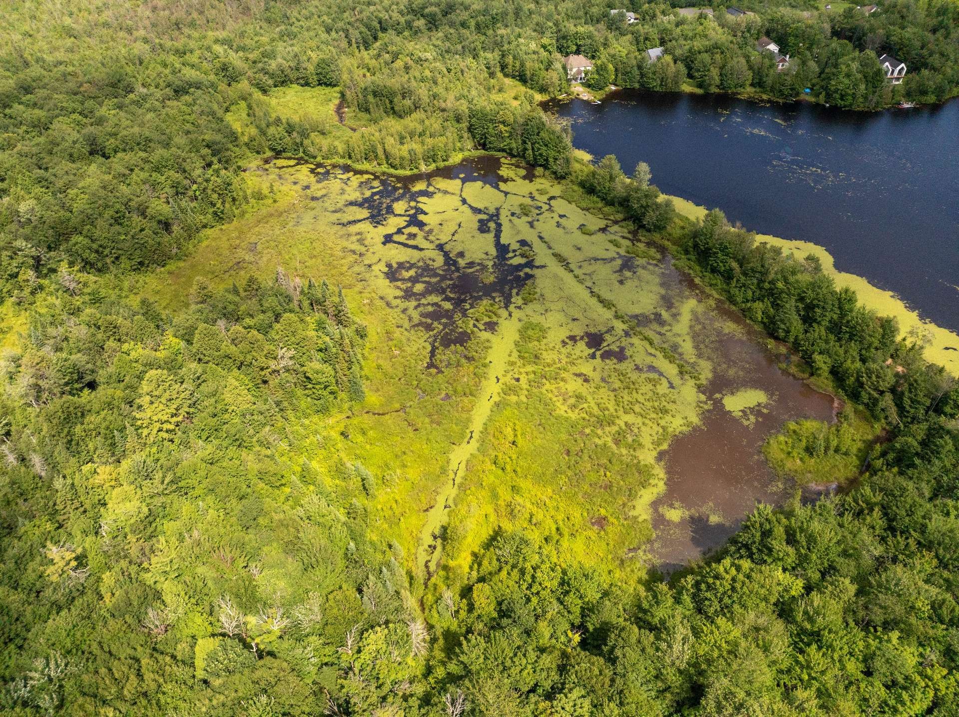 












Rue Aramis

,
Saint-Colomban,







QC
J5K2K9

