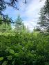 Land/Lot