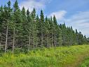 Land/Lot