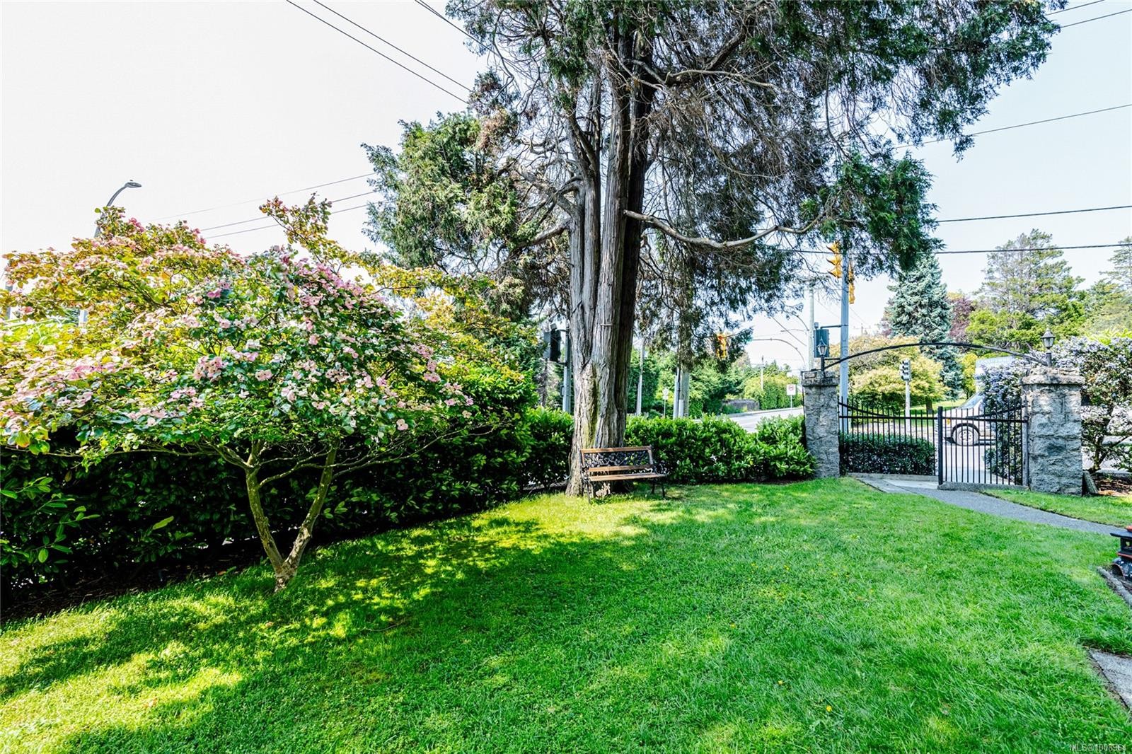 









1875


Lansdowne

Rd, 201,
Saanich,




BC
V8P 1A9

