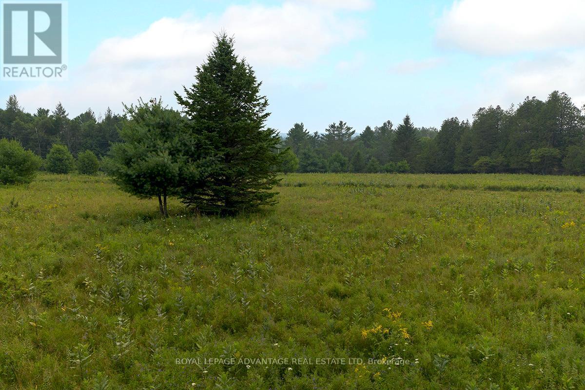 












6074 HIGHWAY 511 ROAD

,
Lanark Highlands,







Ontario
K0G1K0


