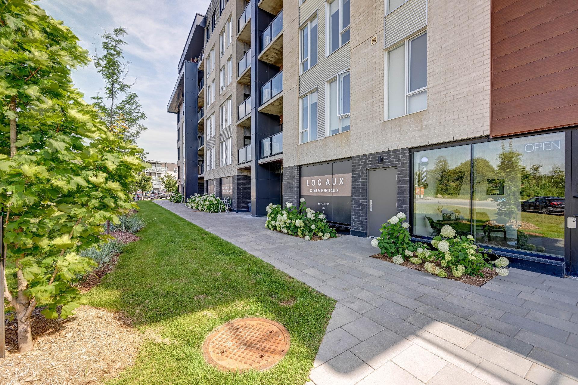 









980


Av. Pierre-Dansereau

, 102,
Terrebonne (Terrebonne),




QC
J5Y0R7

