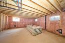 Basement View 2