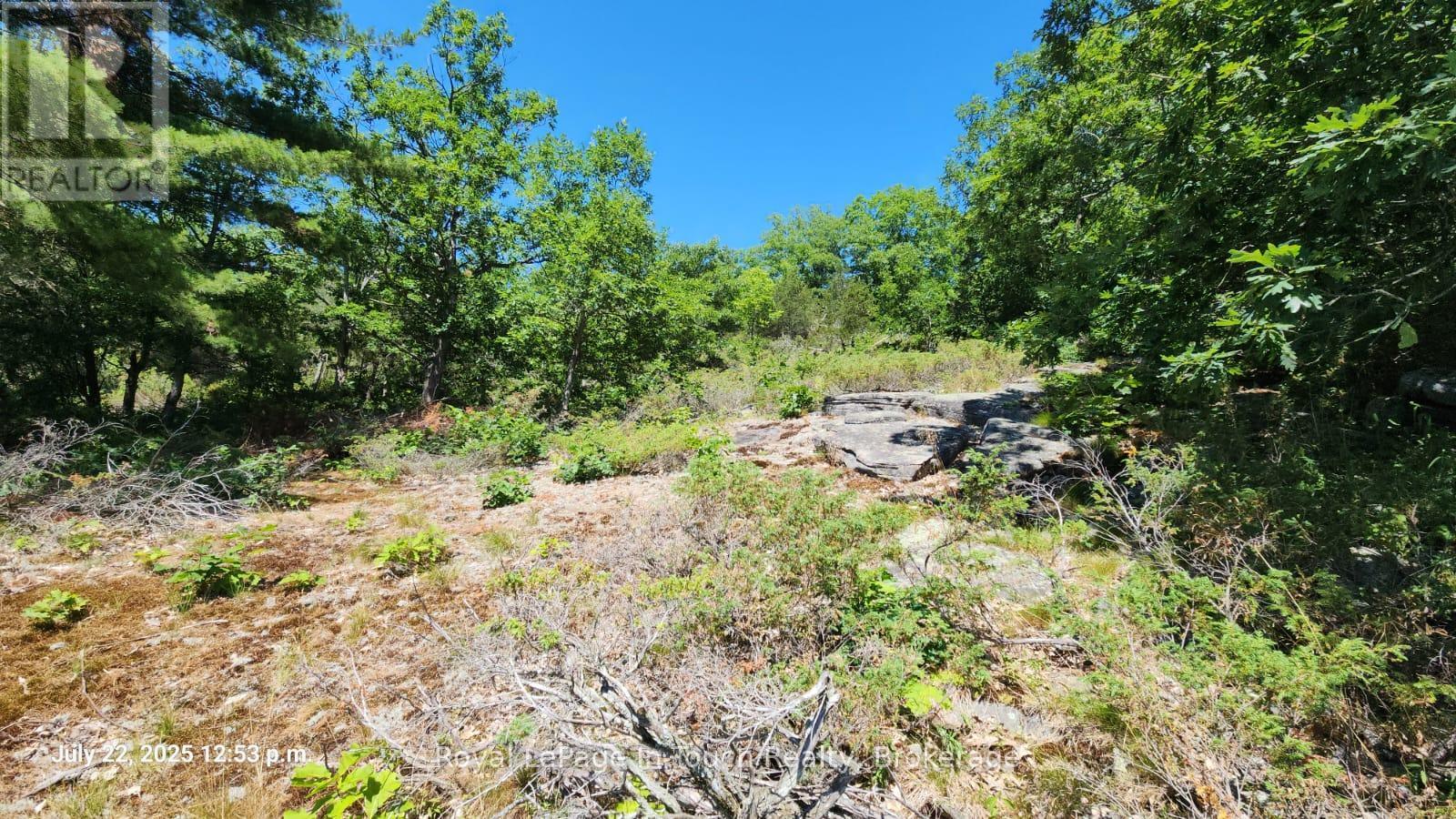












320 O'HARA POINT ROAD

,
Georgian Bay (Baxter),







Ontario
L0K1S0


