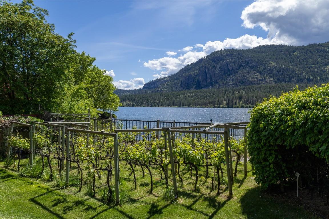 









3104


Vaseux Lake

Crescent,
Okanagan Falls,




BC
V0H 1R2

