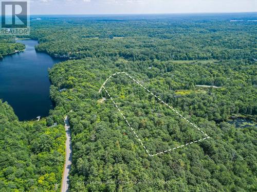 Aerial with Approximate lot line