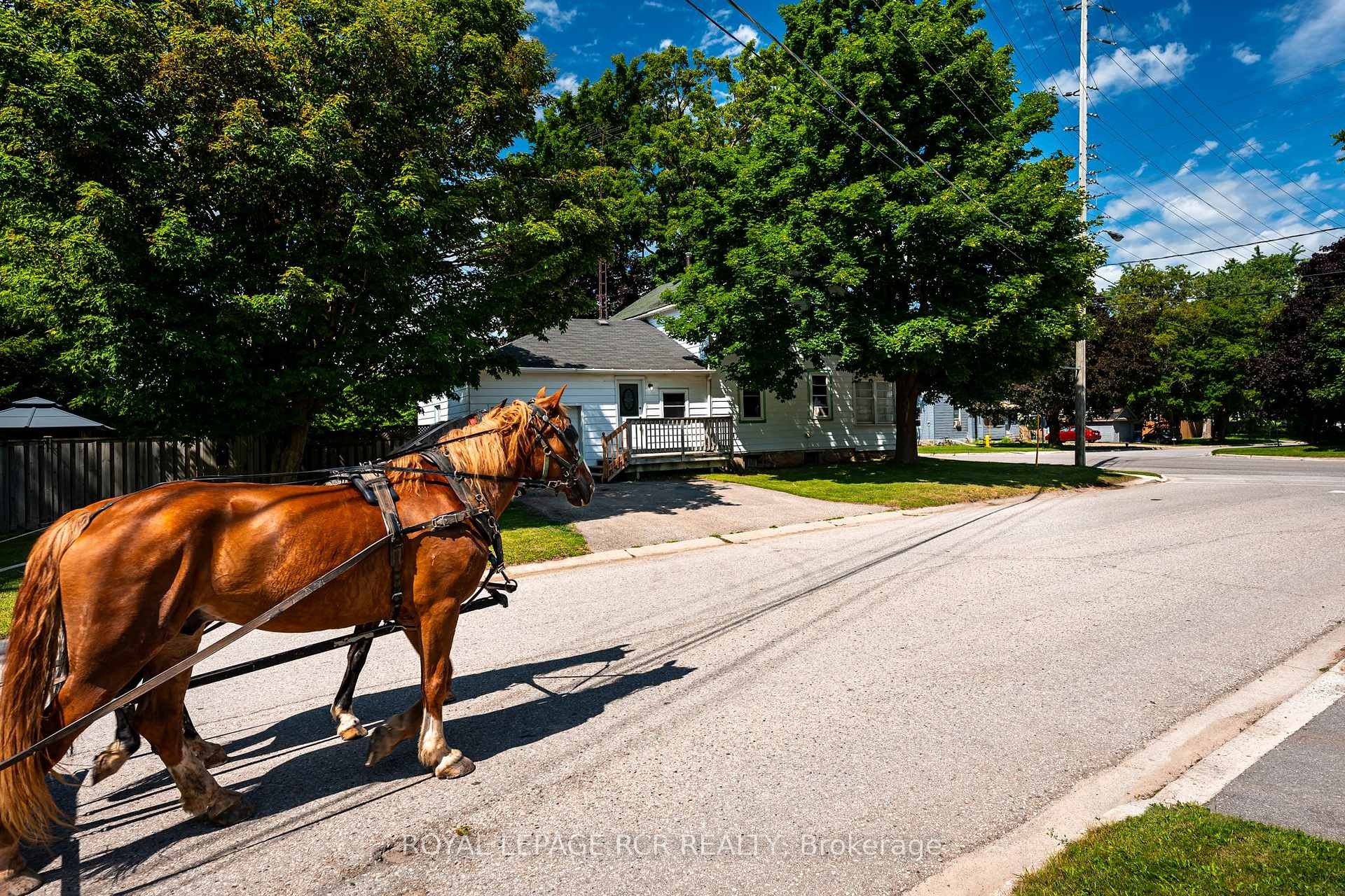 









168


Victoria

Street,
Shelburne,




ON
L9V 2Y1

