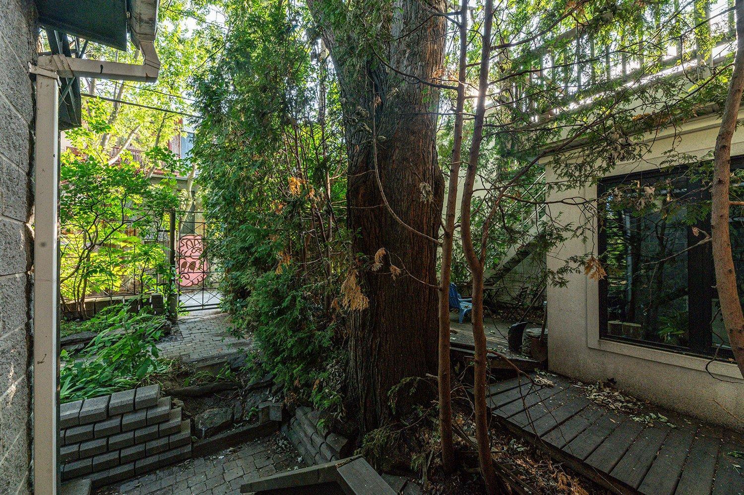









4082


Rue Drolet

,
Montréal (Le Plateau-Mont-Royal),




QC
H2W2L4

