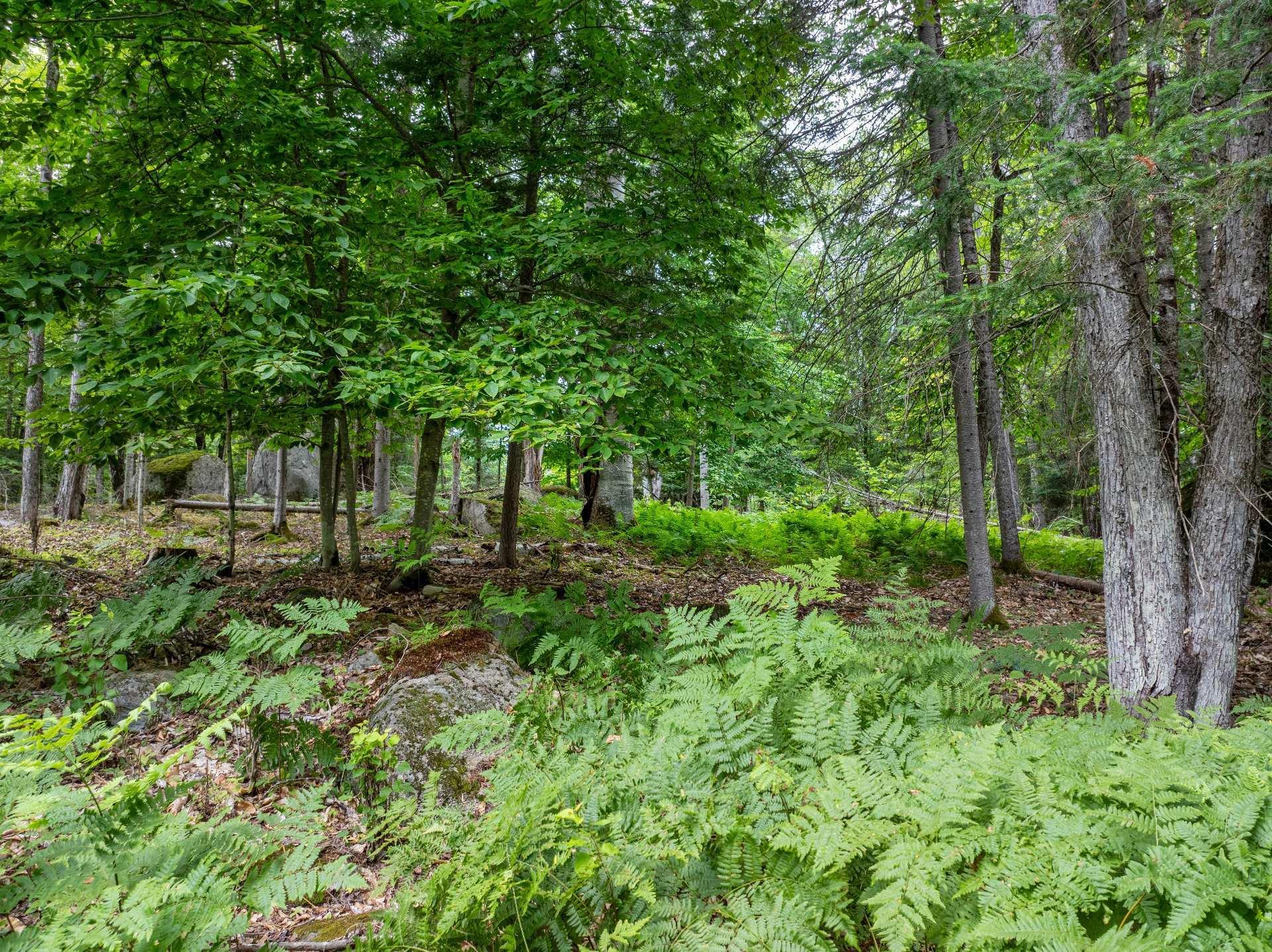 









2335


Rue Labelle

,
Mont-Tremblant,




QC
J8E1T8

