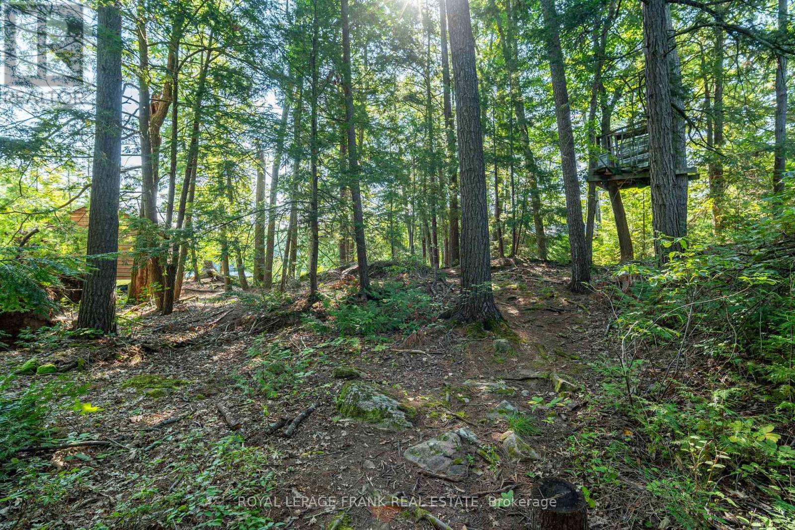












428 & 430 ISLAND 7 STONEY LAKE

,
Douro-Dummer,




Ontario
K0L2H0

