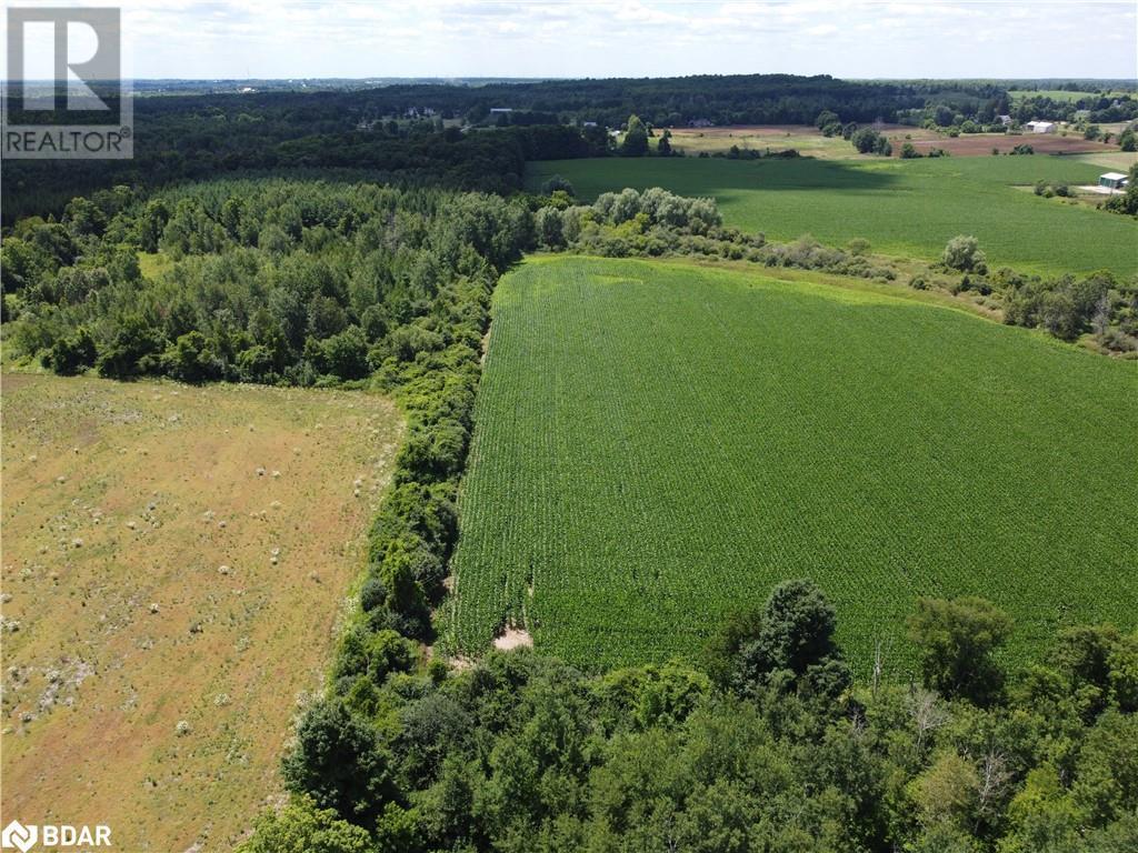












11080 FIRST LINE NASSAGAWEYA

,
Milton,







Ontario
L0P1J0

