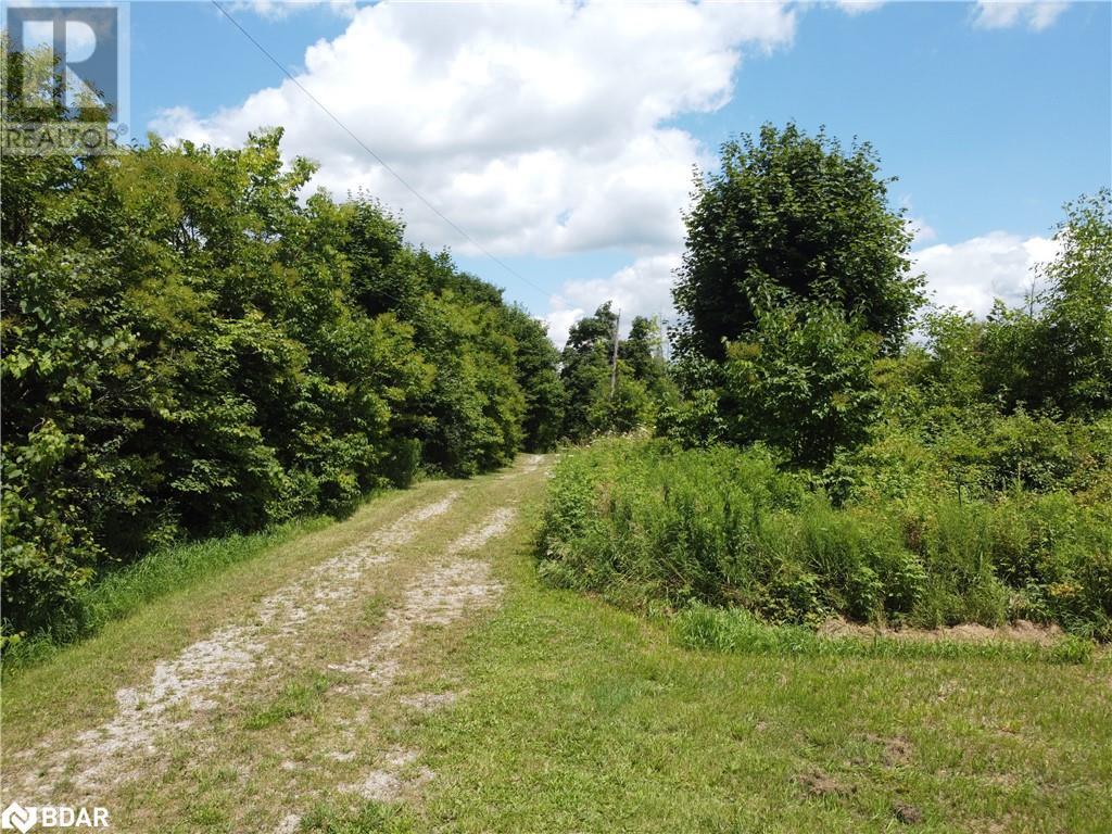 












11080 FIRST LINE NASSAGAWEYA

,
Milton,







Ontario
L0P1J0

