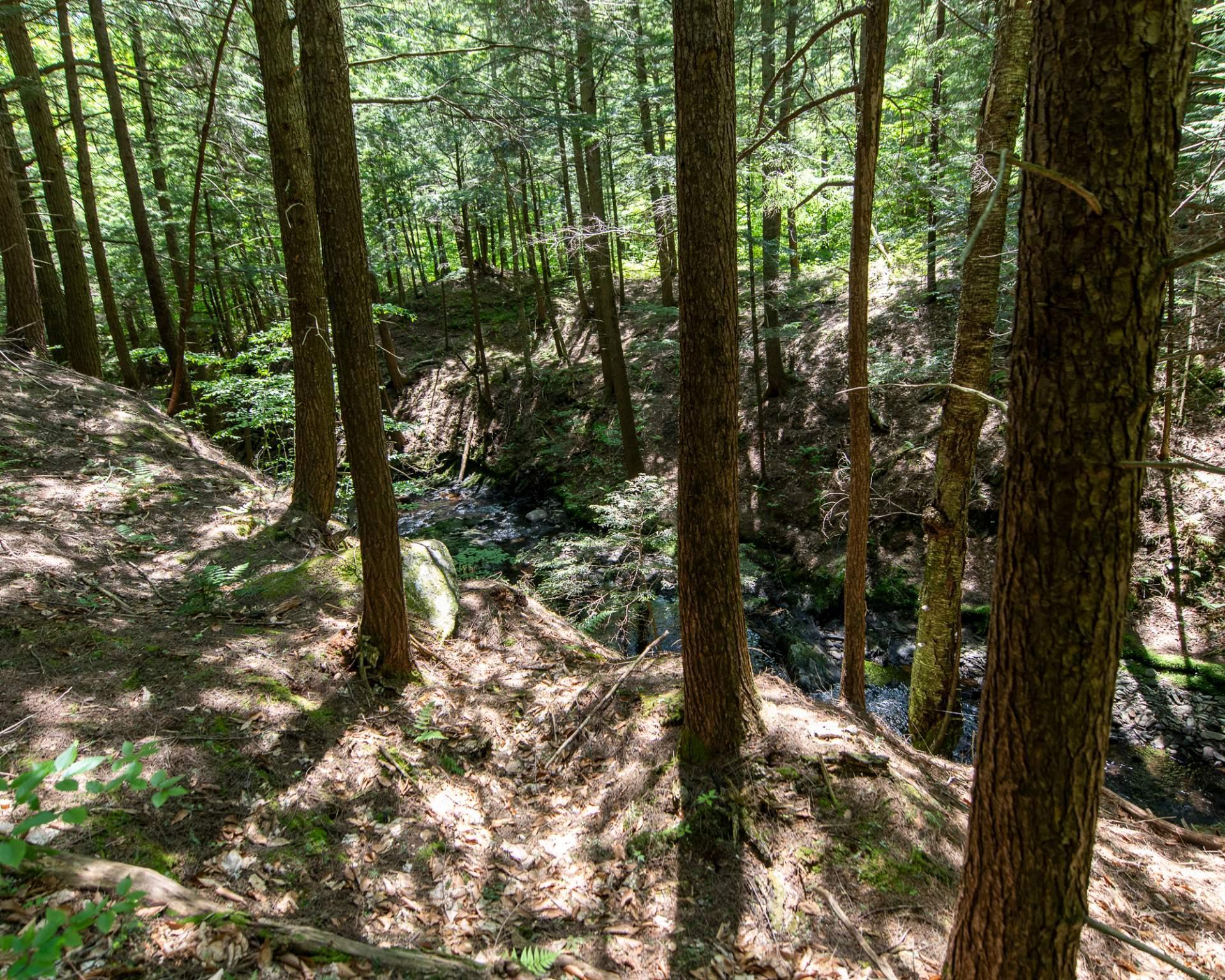 









5B


Ch. Ledoux

,
Saint-Étienne-de-Bolton,







QC
J0E2E0

