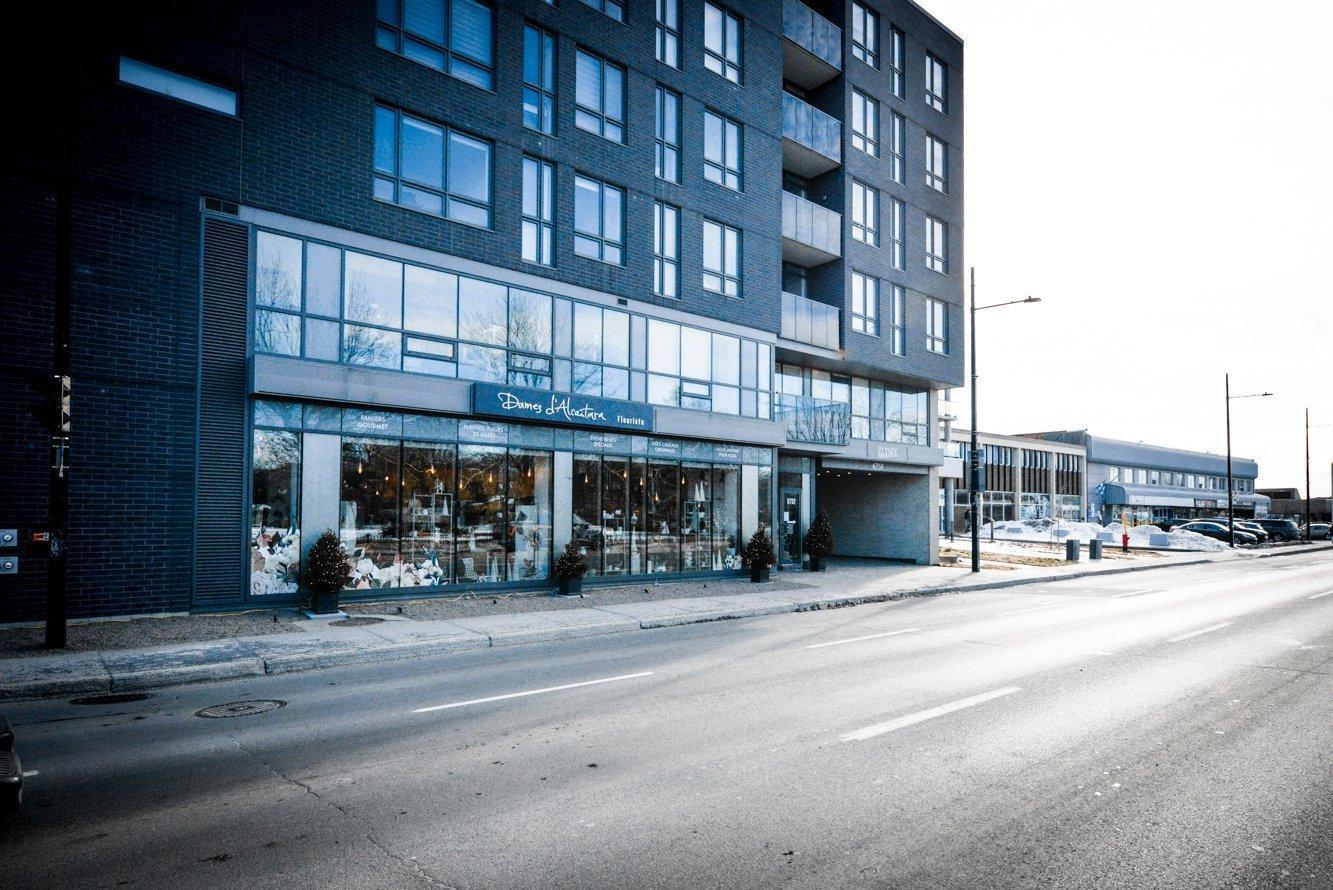 









6750


Rue Sherbrooke E.

, 109,
Montréal (Mercier/Hochelaga-Maisonneuve),




QC
H1N0E2

