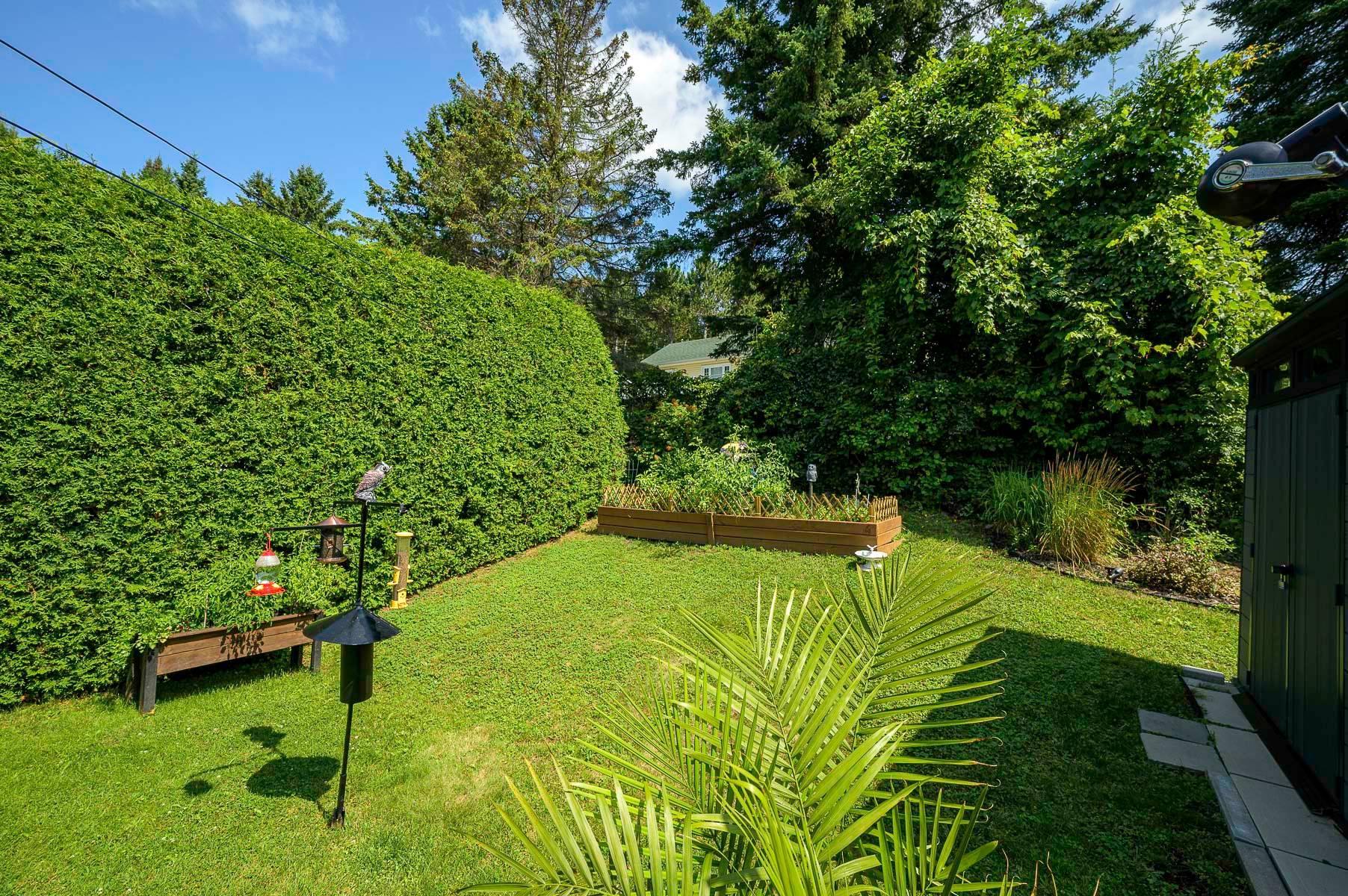 









66


Av. Guindon

,
Saint-Sauveur,




QC
J0R1R6

