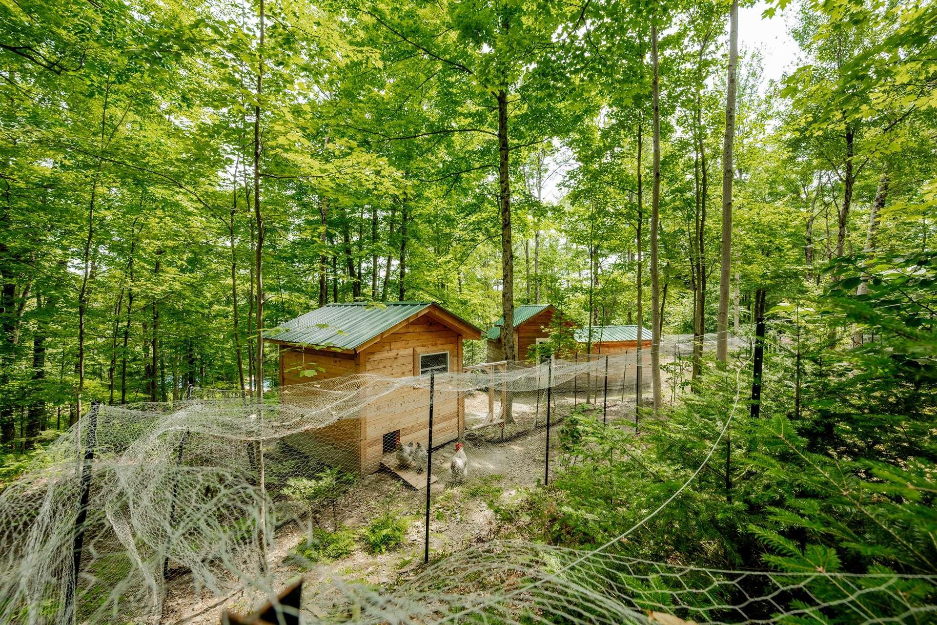 









1163


Route 141

,
Coaticook,




QC
J1A2S5

