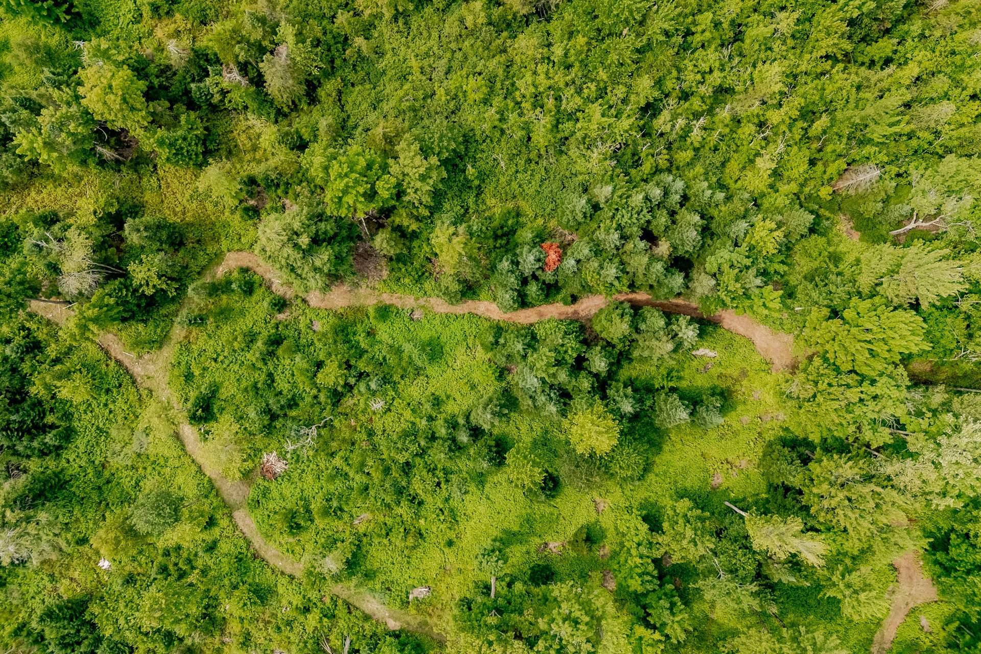 









1163


Route 141

,
Coaticook,




QC
J1A2S5

