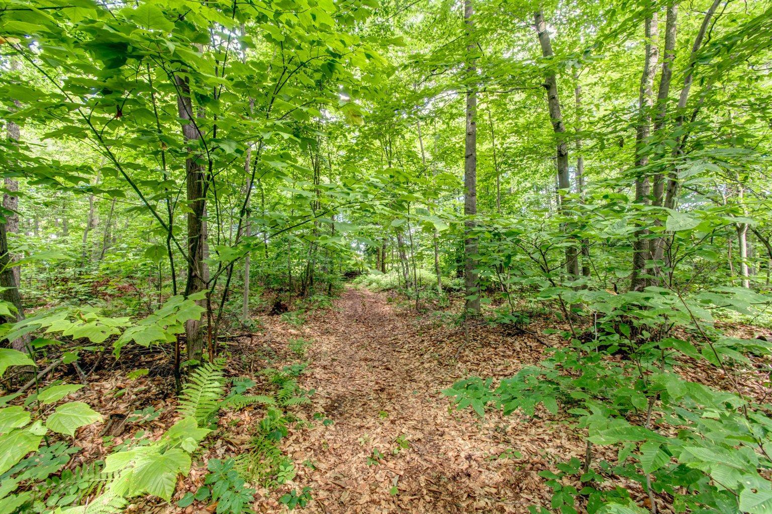 












Rg Rhimbault

,
Sainte-Victoire-de-Sorel,







QC
J0G1T0

