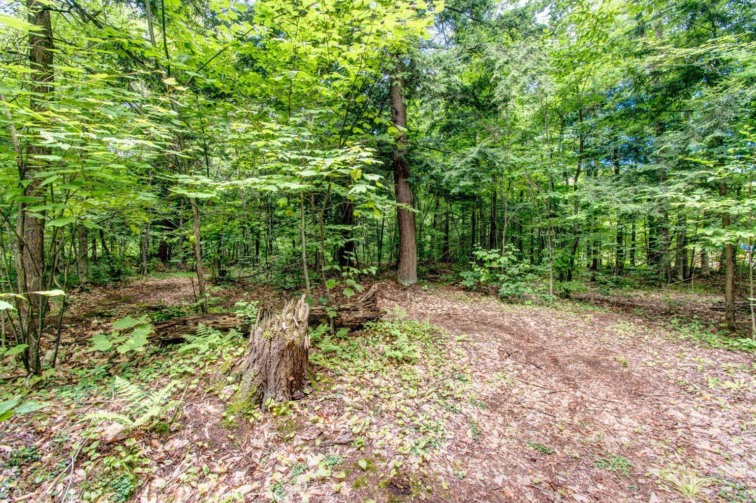 












Rg Rhimbault

,
Sainte-Victoire-de-Sorel,







QC
J0G1T0

