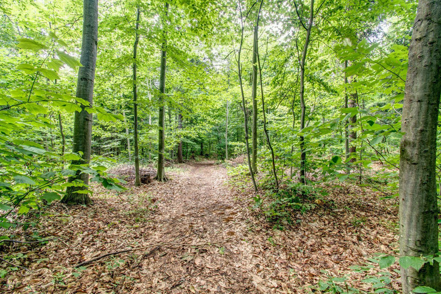 












Rg Rhimbault

,
Sainte-Victoire-de-Sorel,







QC
J0G1T0

