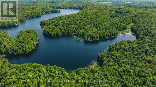 1st offering since 1948