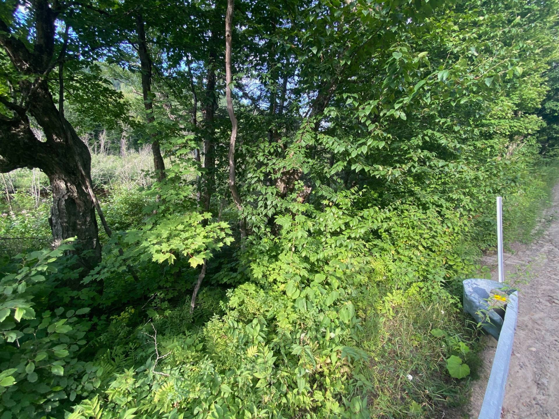 









1741


Rg Morin

,
Saint-Alexis-des-Monts,







QC
J0K1V0

