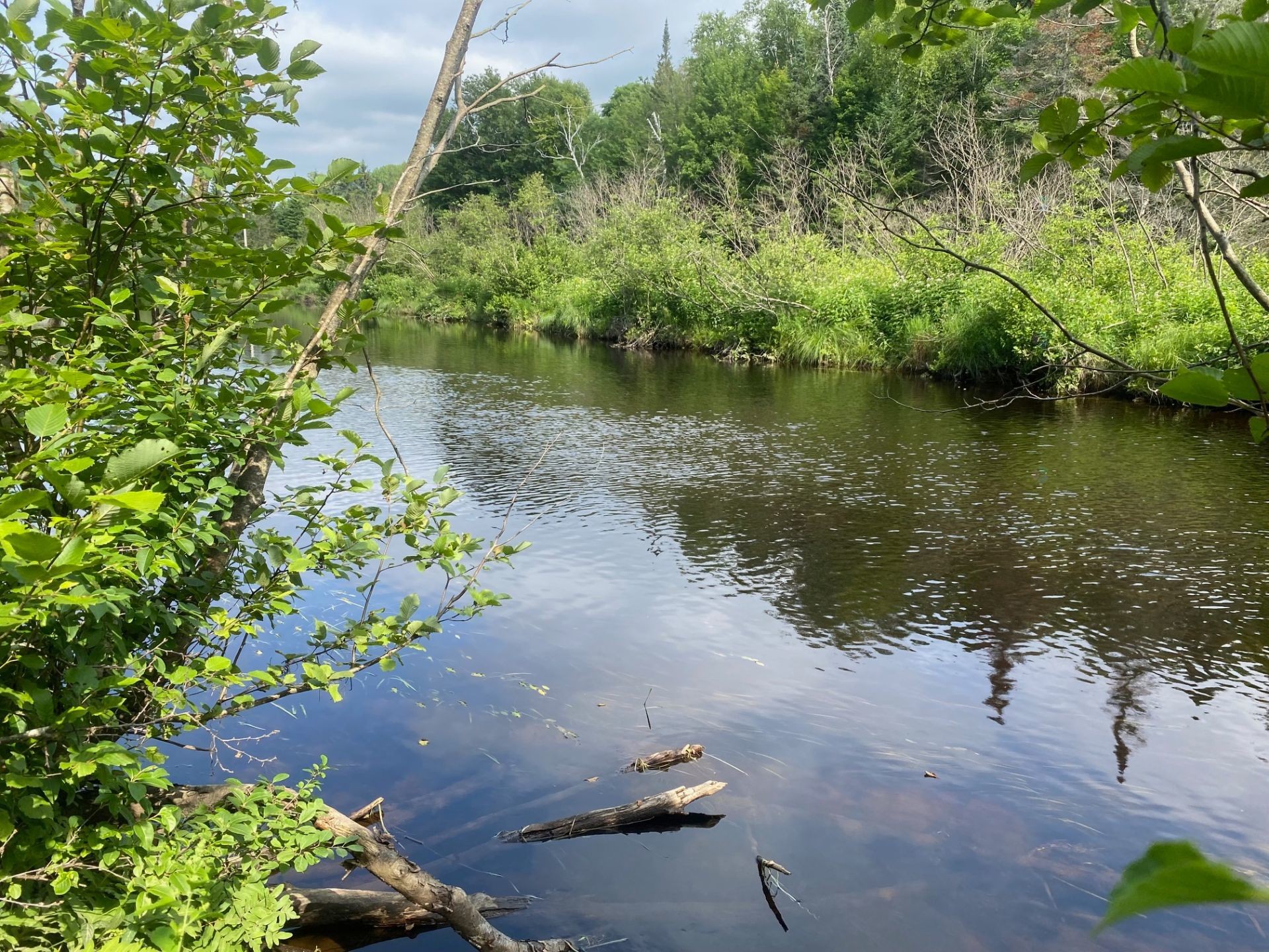 









1741


Rg Morin

,
Saint-Alexis-des-Monts,







QC
J0K1V0

