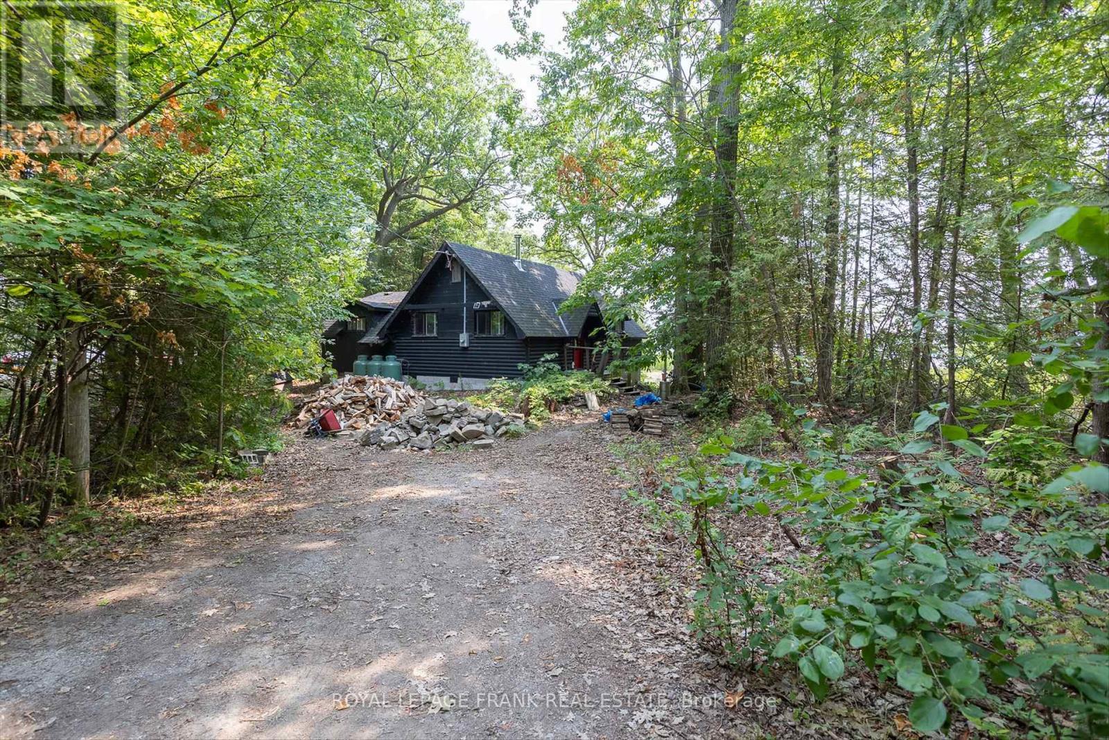 












8 FIRE ROUTE 62

,
Trent Lakes,




Ontario
K0L1J0

