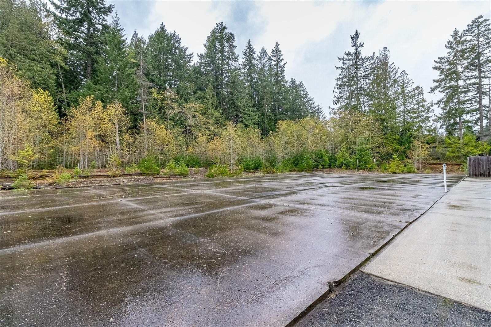 









230


Rupert

Rd East,
Qualicum Beach,




BC
V9K 1R3

