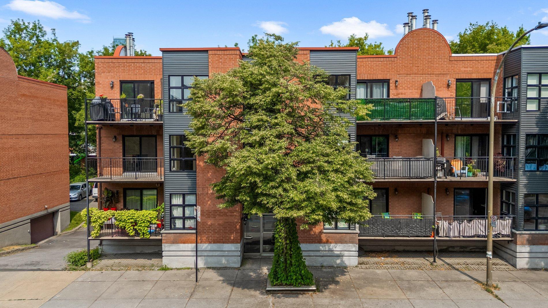 









2321


Rue St-Jacques

, 201,
Montréal (Le Sud-Ouest),




QC
H3J1H7

