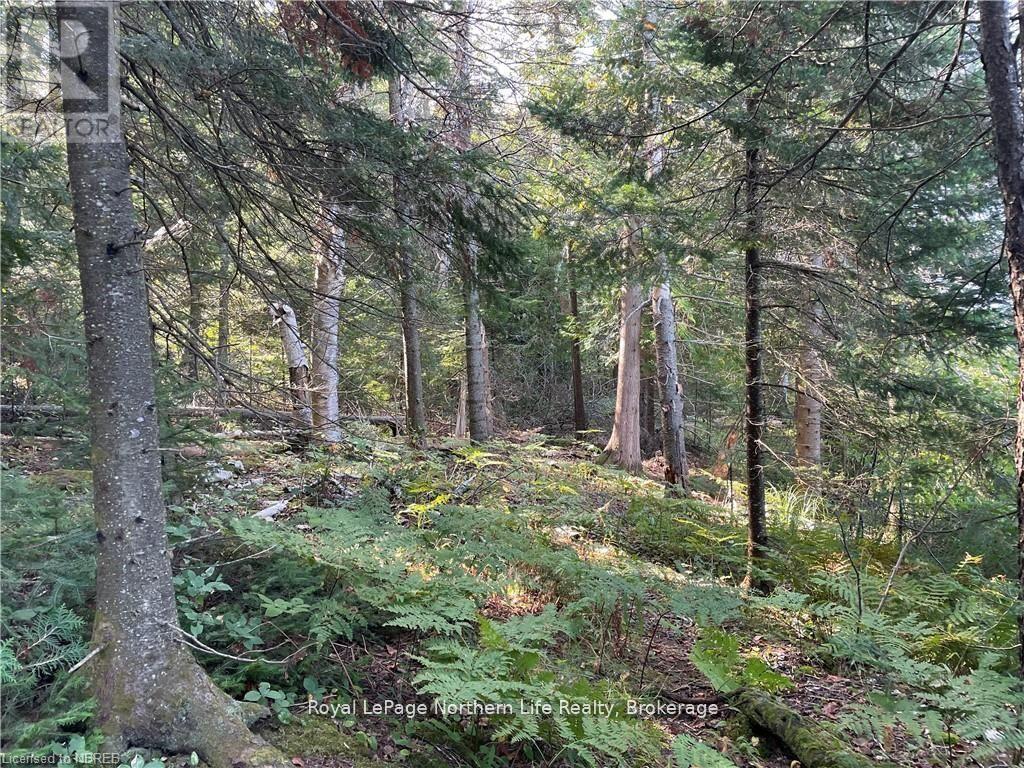 












1945 ALSACE ROAD

,
Nipissing,







Ontario
P0H1Z0

