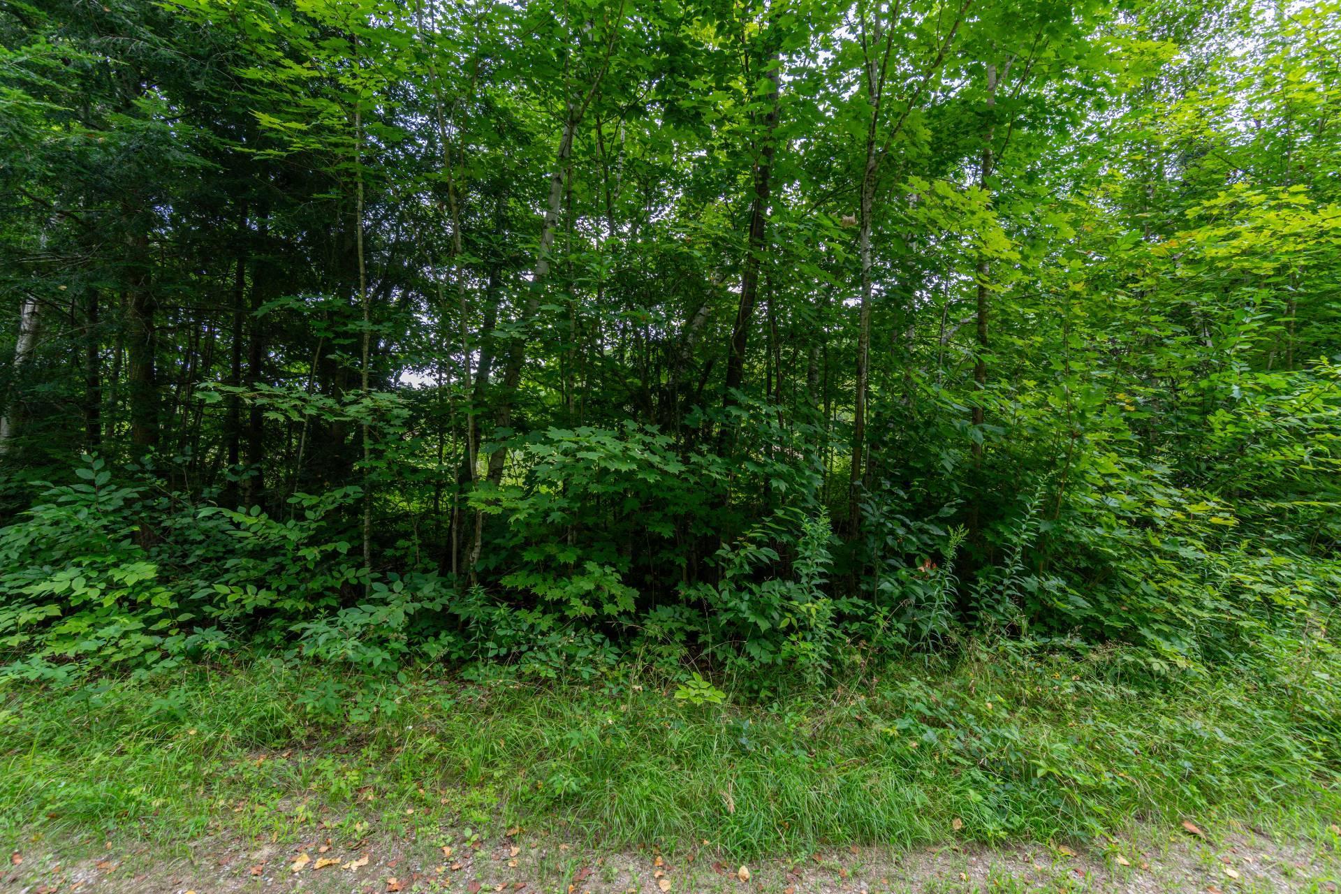 









7


Imp. Ellora

,
Bolton-Est,







QC
J0E1G0

