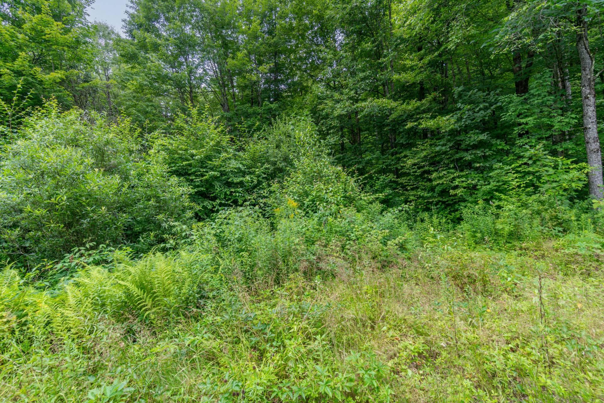 









7


Imp. Ellora

,
Bolton-Est,







QC
J0E1G0

