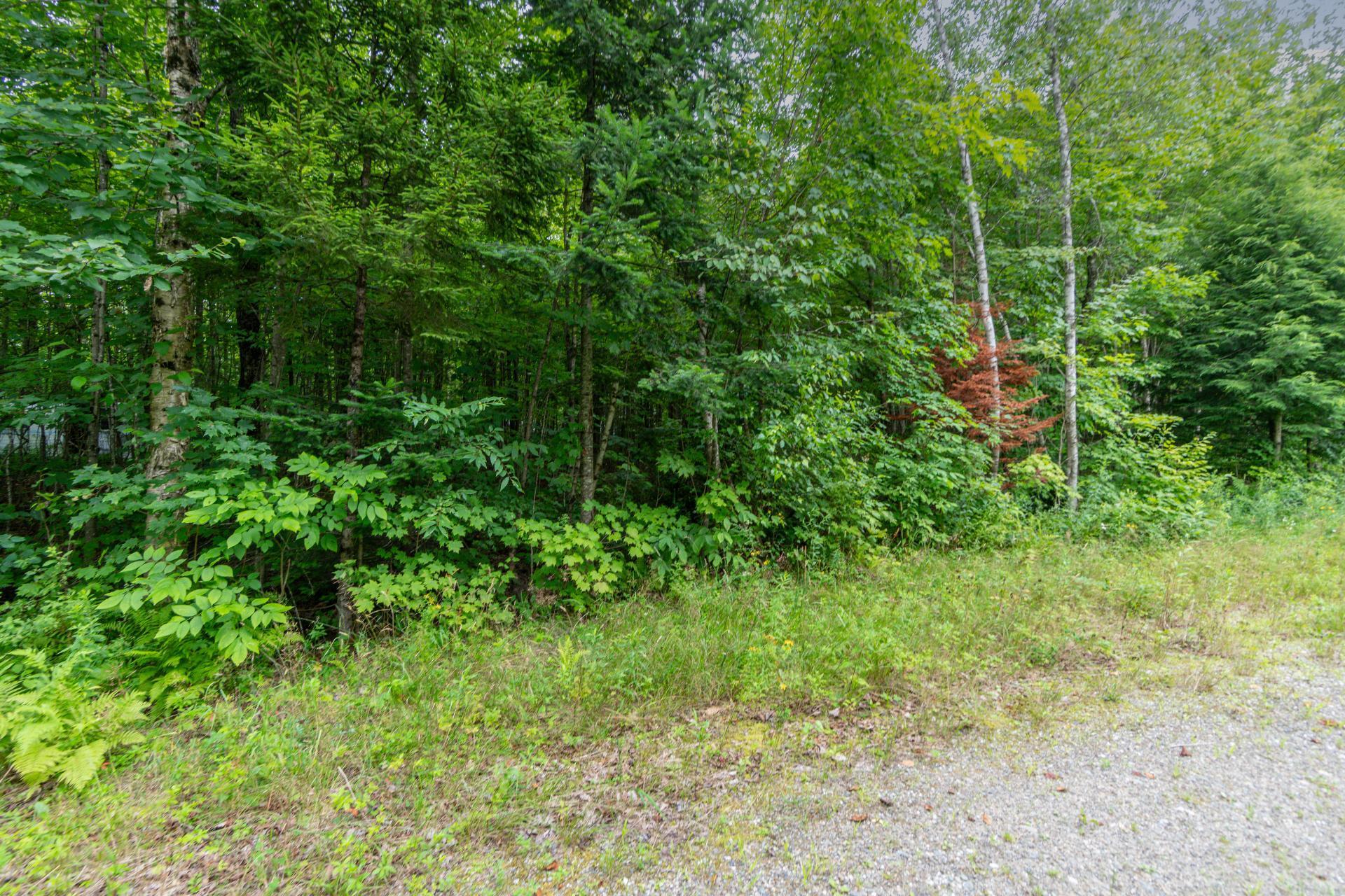 









7


Imp. Ellora

,
Bolton-Est,







QC
J0E1G0

