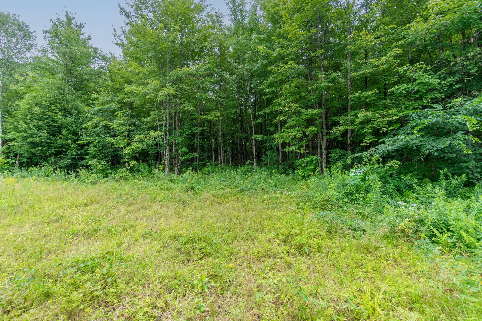 









7


Imp. Ellora

,
Bolton-Est,







QC
J0E1G0

