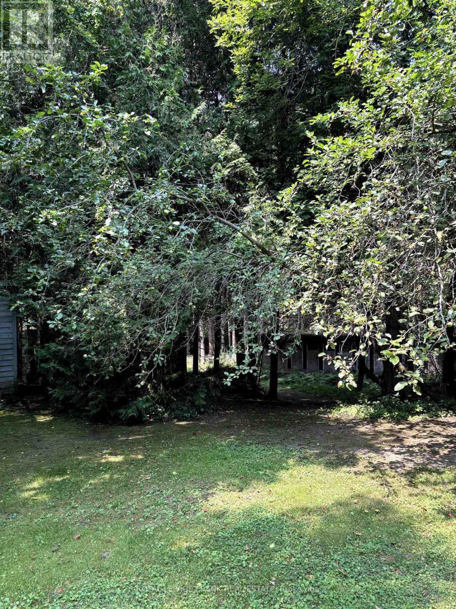 












8298 GRASSHOPPER PARK ROAD

,
Clarington,




Ontario
L1C6A9

