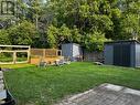 view of back yard